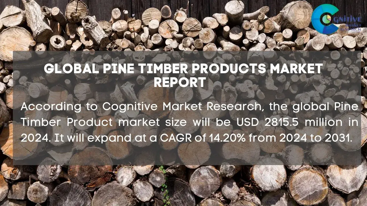 Pine Timber Products Market Report