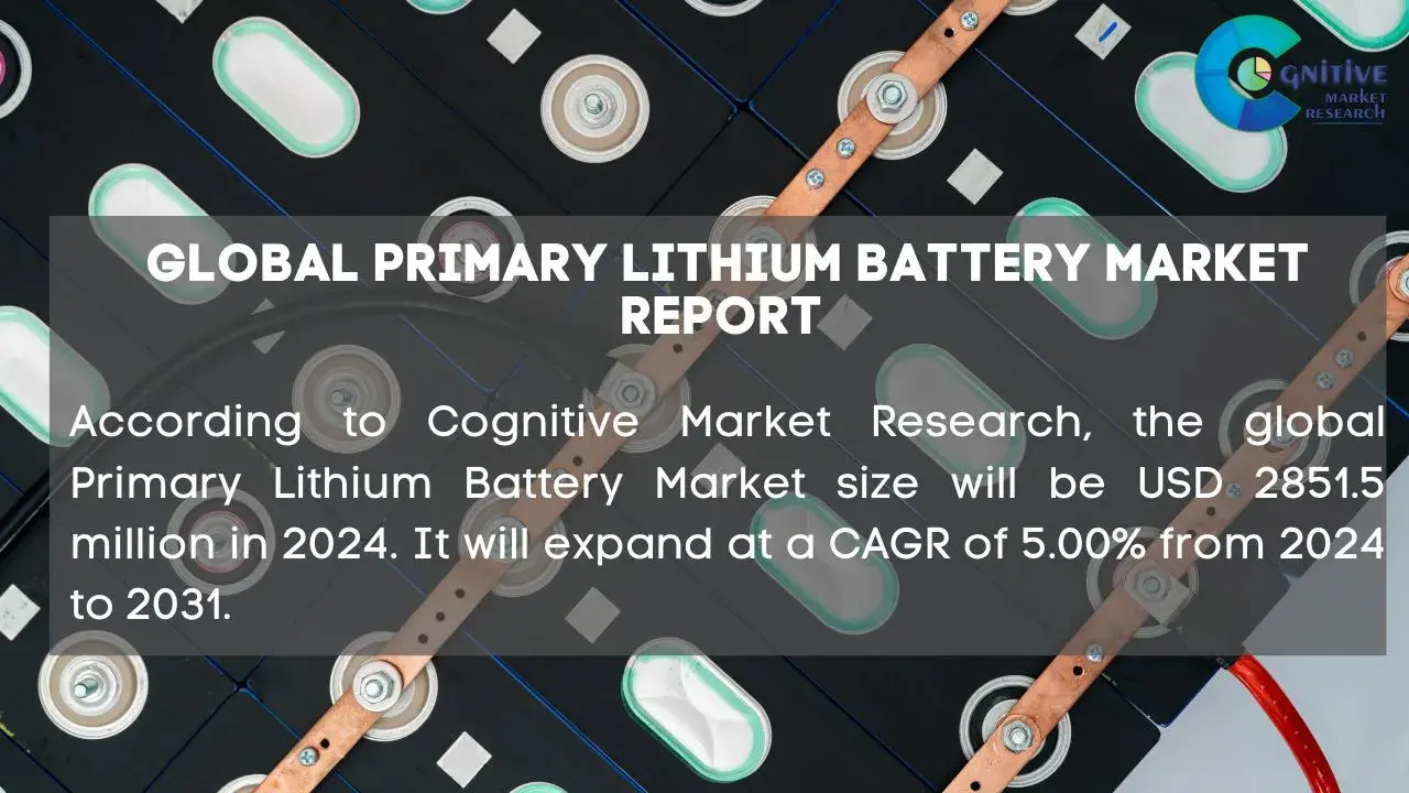 Primary Lithium Battery Market Report