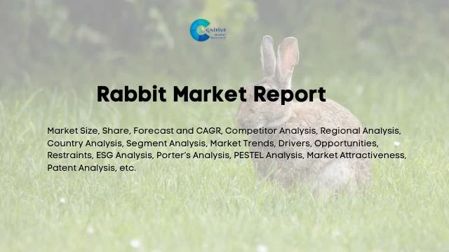 Rabbit Market Report