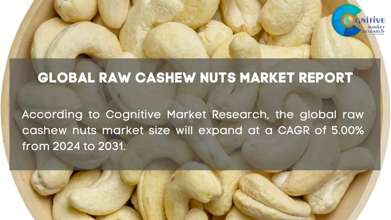 Raw Cashew Nuts Market Report