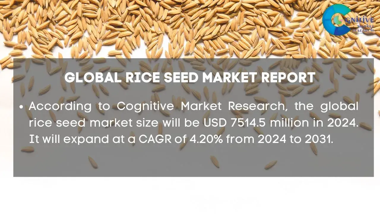 Rice Seed Market Report