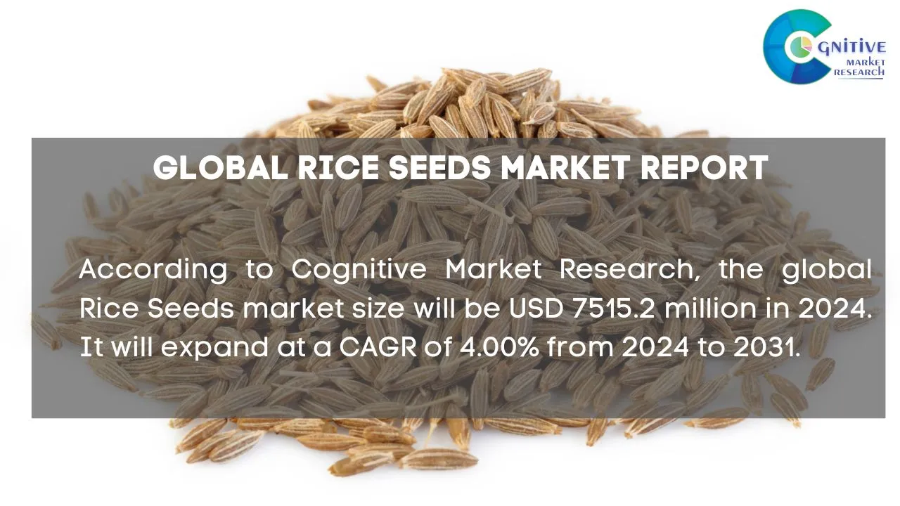 Rice Seeds Market Report
