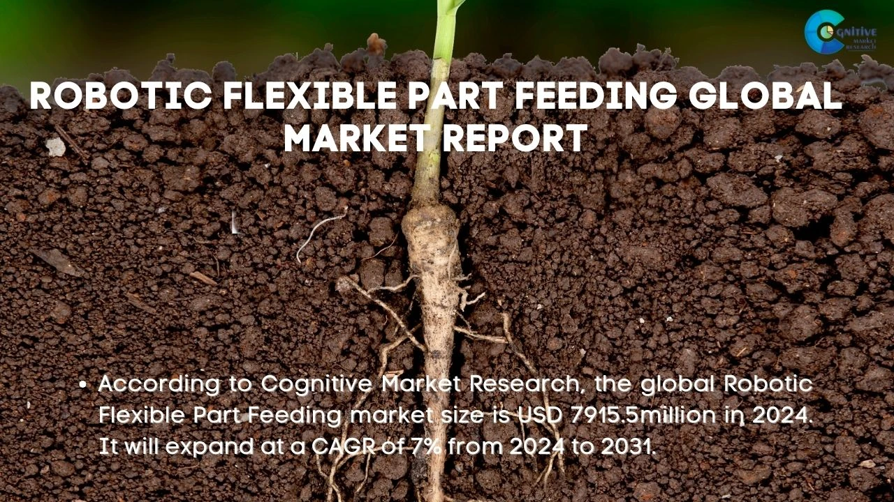 Root Vegetable Seeds Market Report