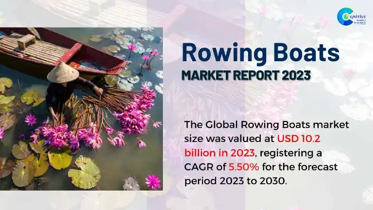 Rowing Boats Market Report