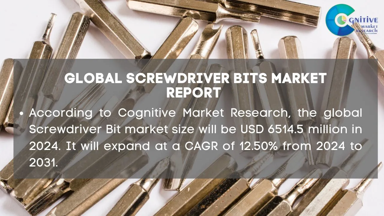 Screwdriver Bits Market Report