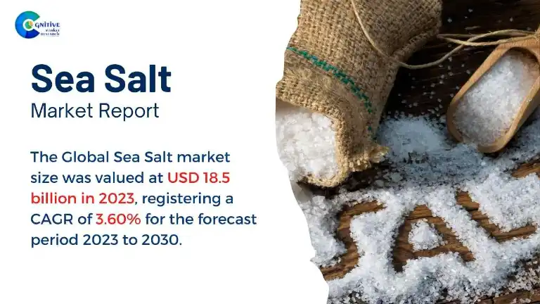 Sea Salt Market Report