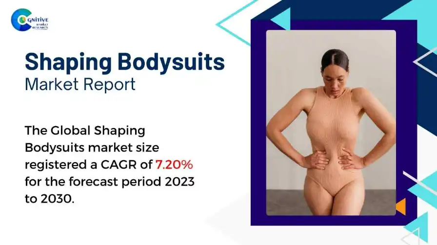 Shaping Bodysuits Market Report