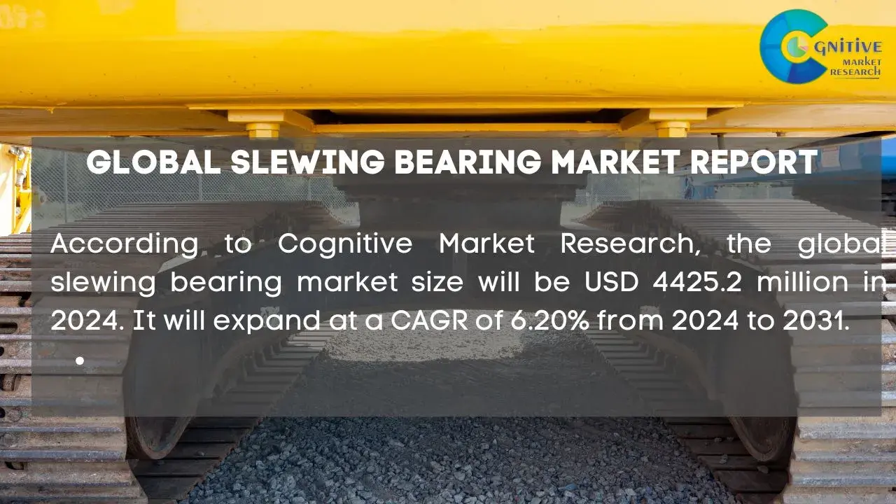 Slewing Bearing Market Report
