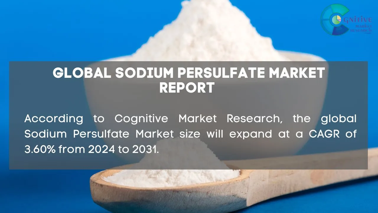 Sodium Persulfate Market Report