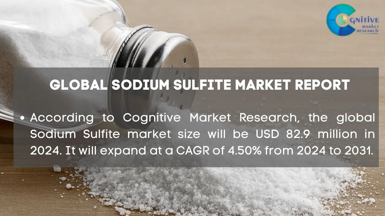Sodium Sulfite Market Report