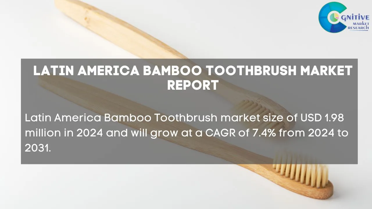 South America Bamboo Toothbrush Market Report