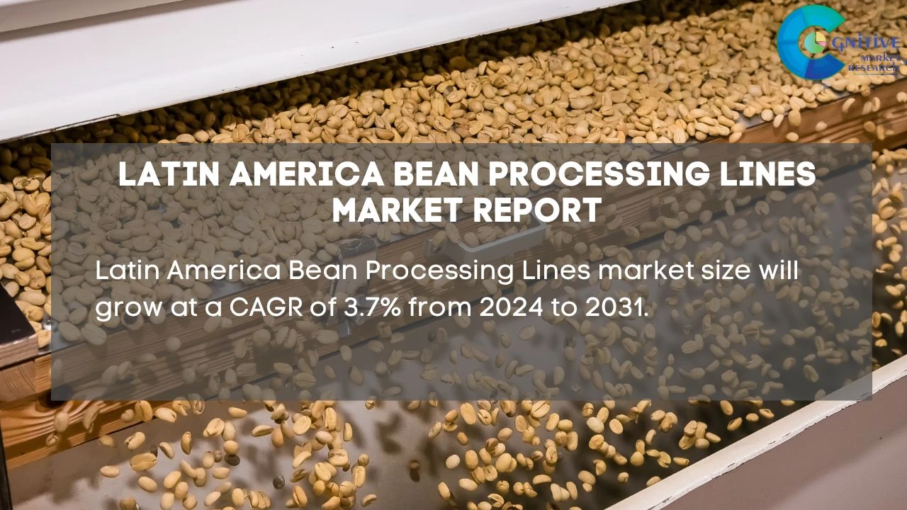 South America Bean Processing Lines Market Report