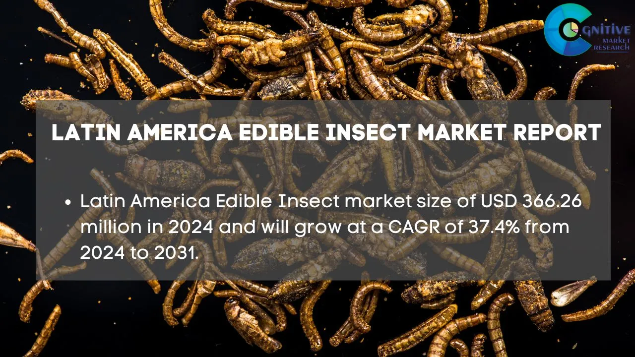 South America Edible Insect Market Report