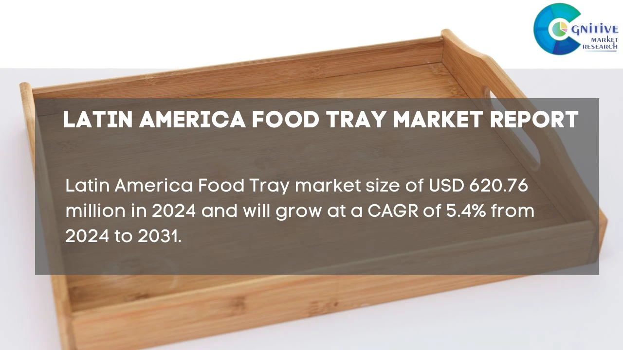 South America Food Tray Market Report