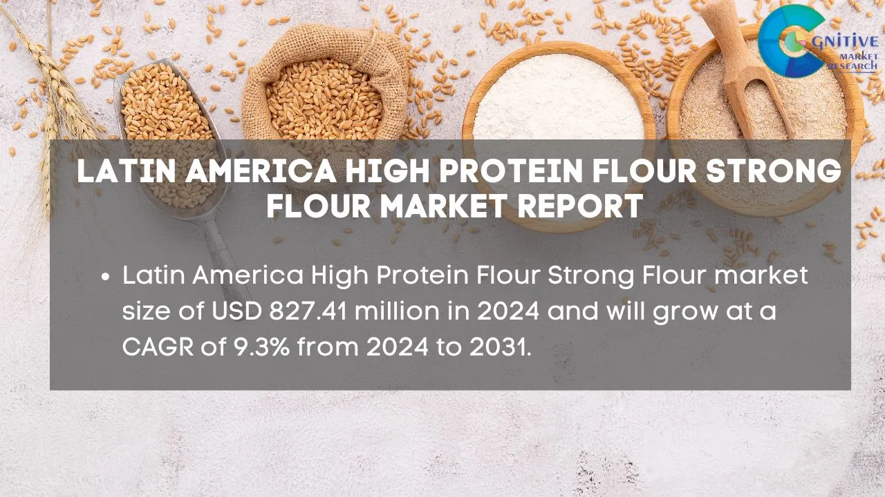 South America High Protein Flour Strong Flour Market Report