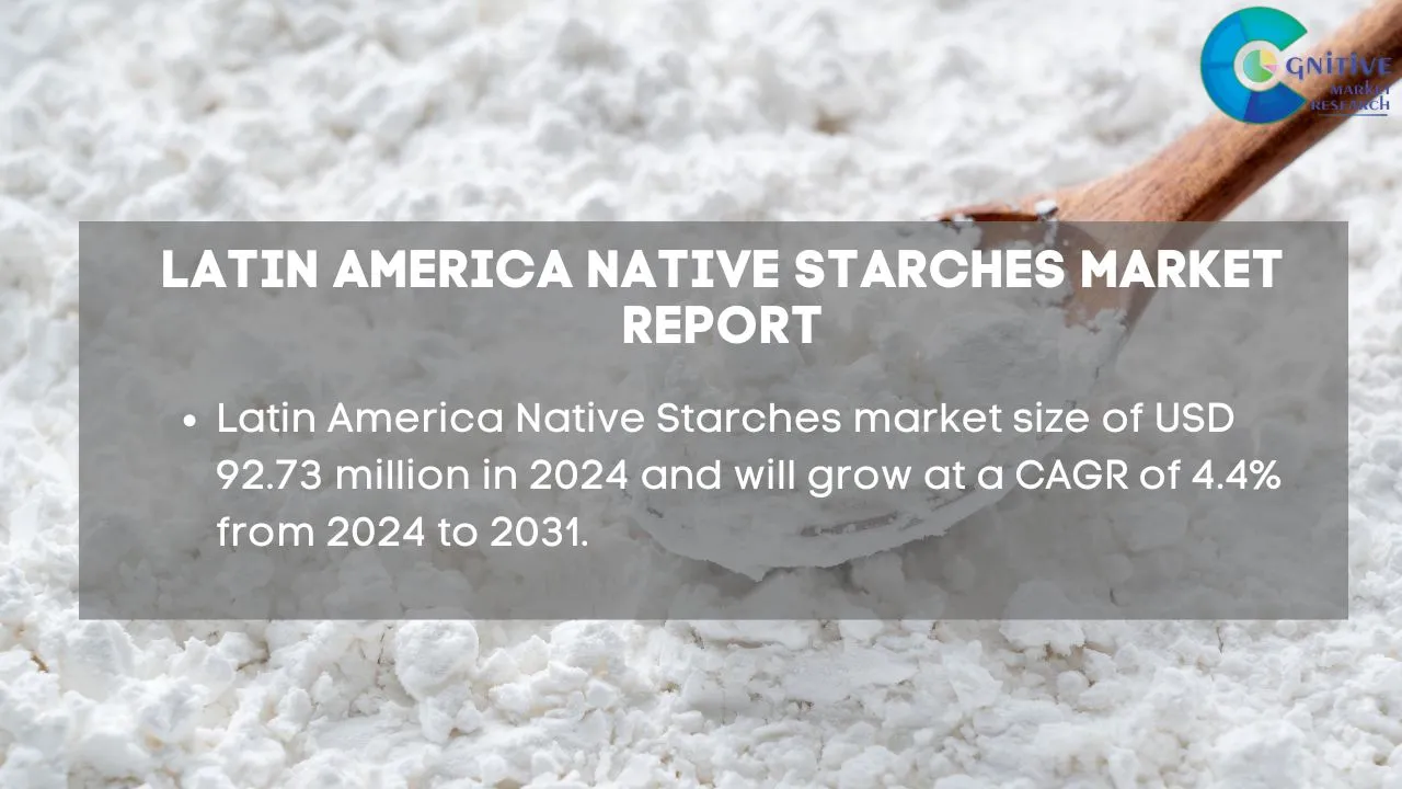South America Native Starches Market Report