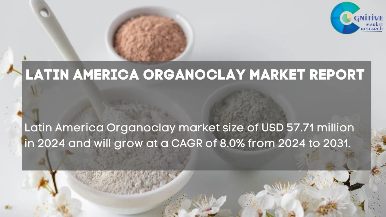 South America Organoclay Market Report