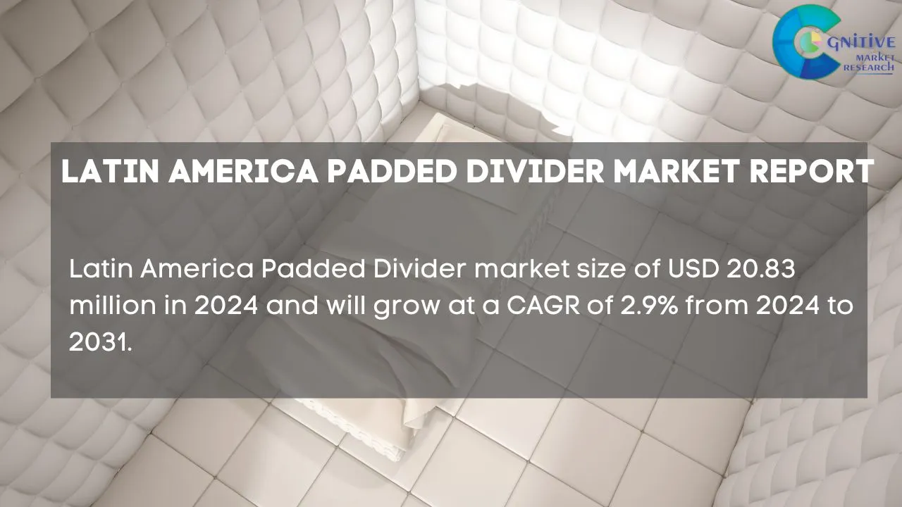 South America Padded Divider Market Report