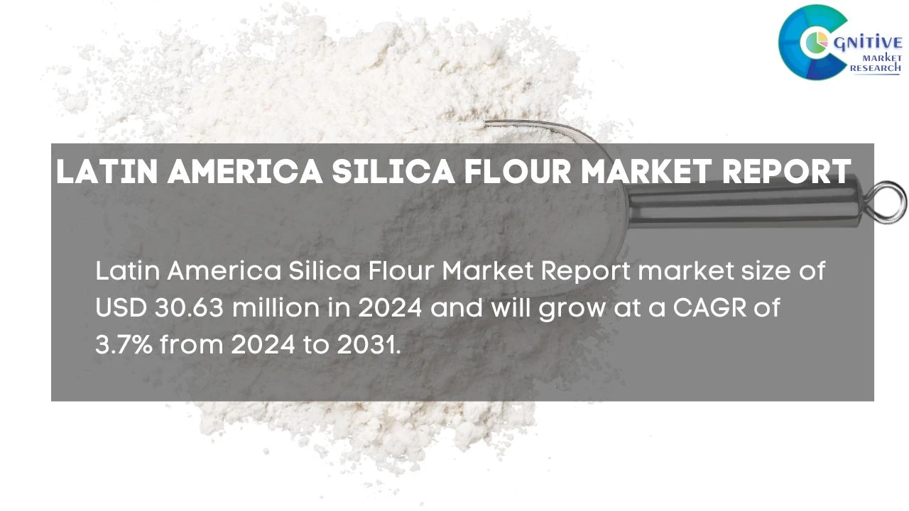 South America Silica Flour Market Report