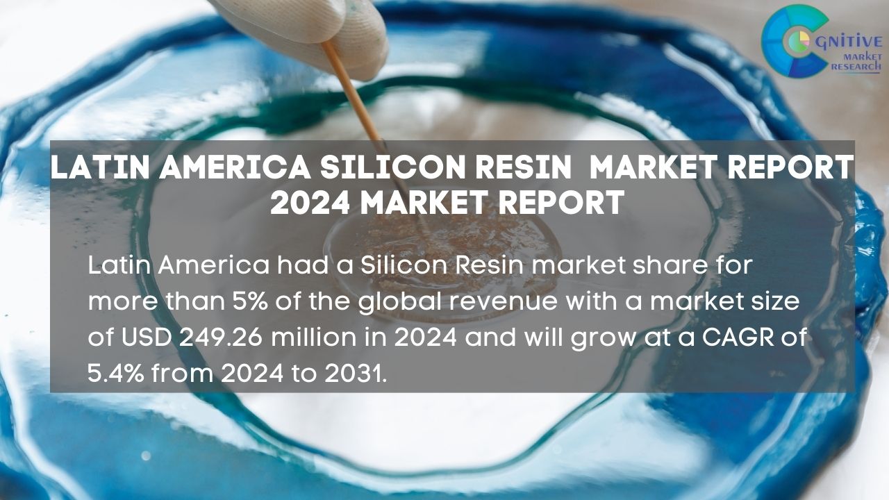 South America Silicon Resin Market Report