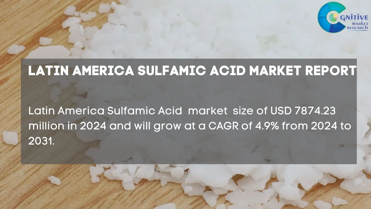 South America Sulfamic Acid Market Report