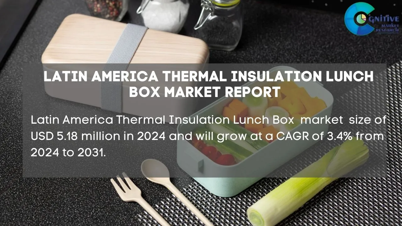 South America Thermal Insulation Lunch Box Market Report