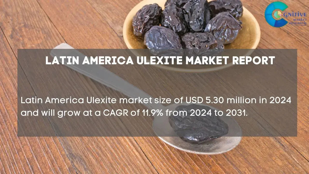 South America Ulexite Market Report