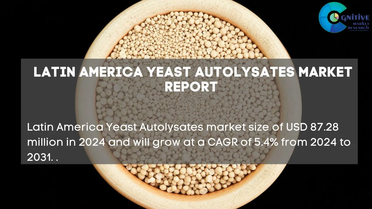 South America Yeast Autolysates Market Report