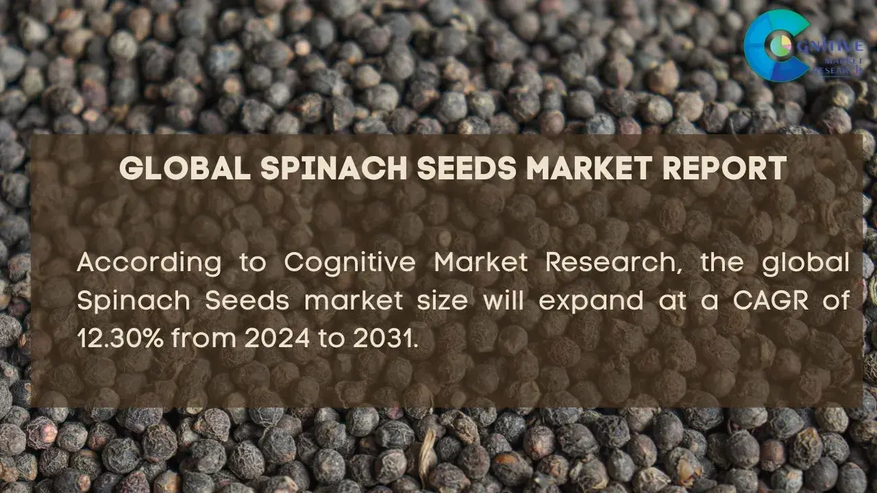 Spinach Seeds Market Report