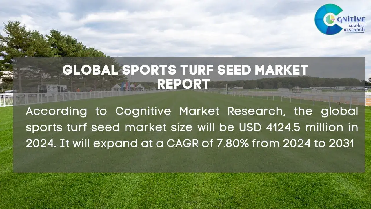 Sports Turf Seed Market Report