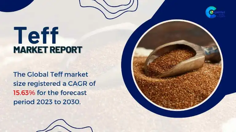 Teff Market Report