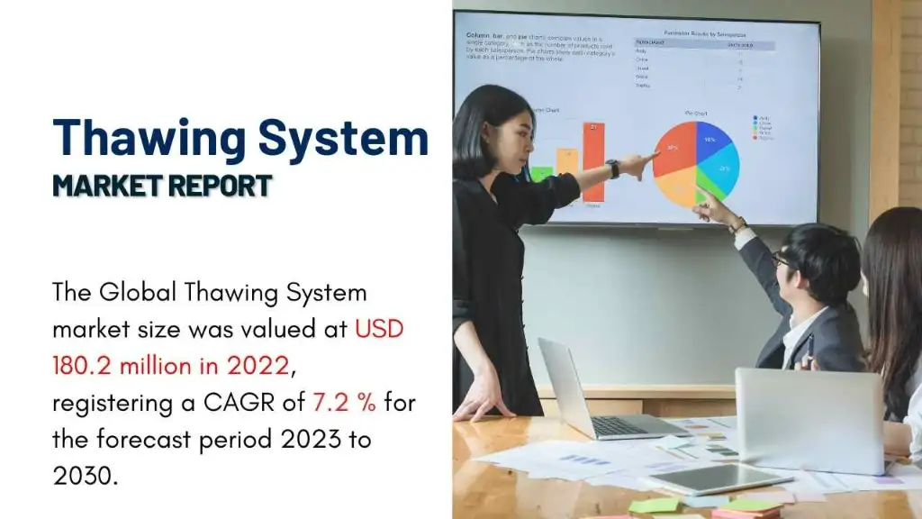Thawing System Market Report