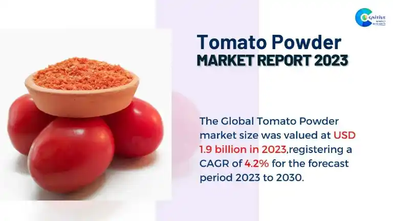 Tomato Powder Market Report