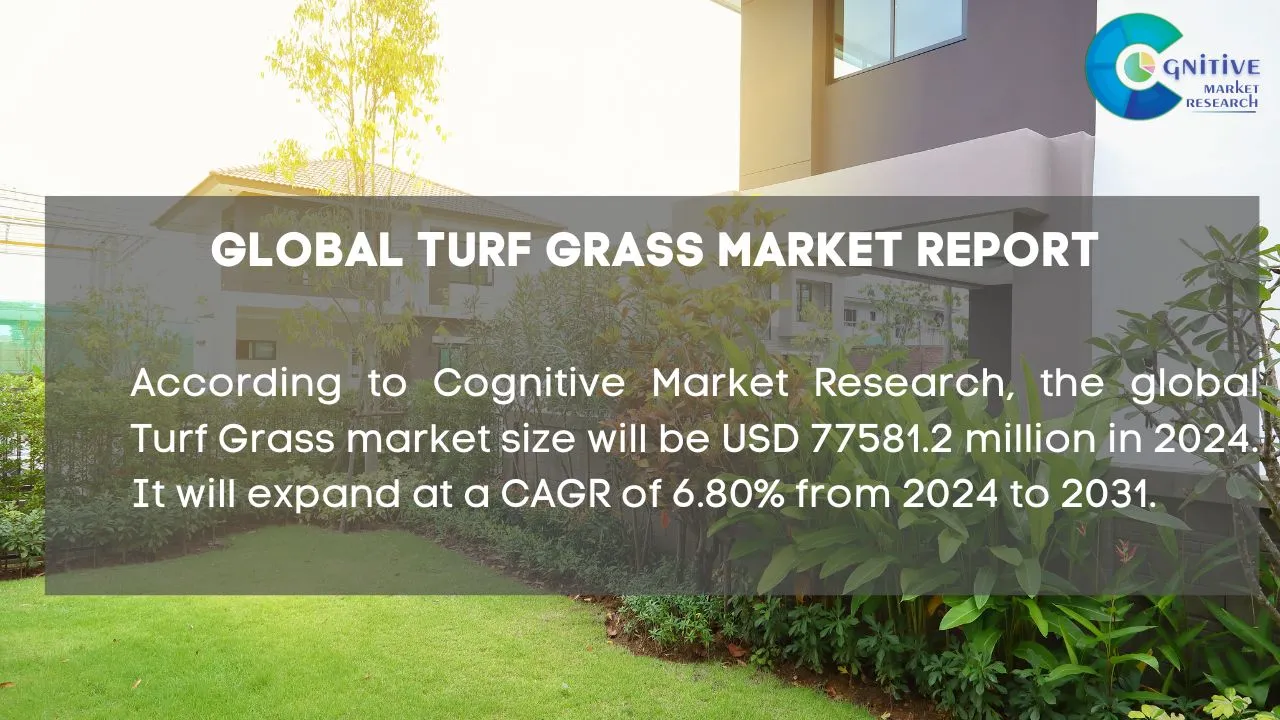 Turf Grass Market Report