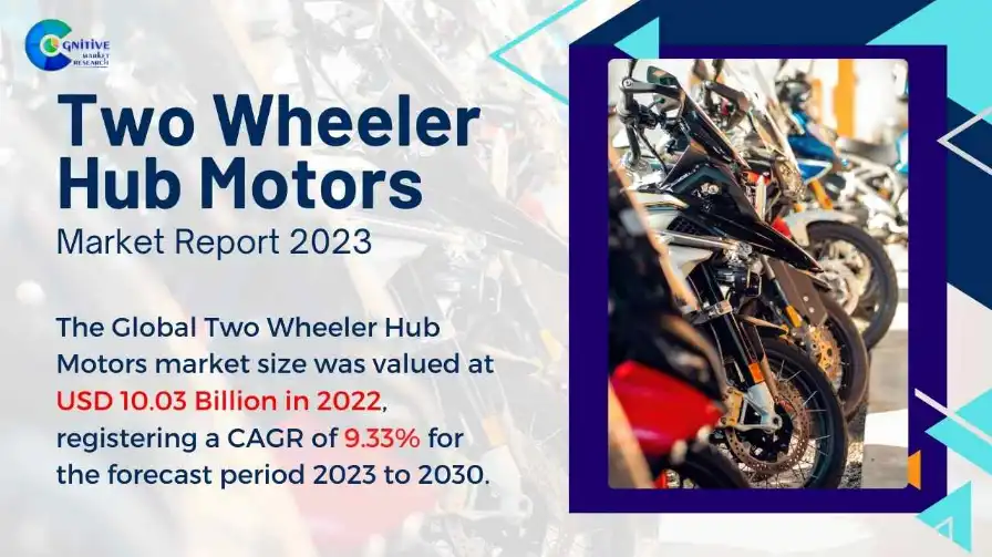 Two Wheeler Hub Motors Market Report