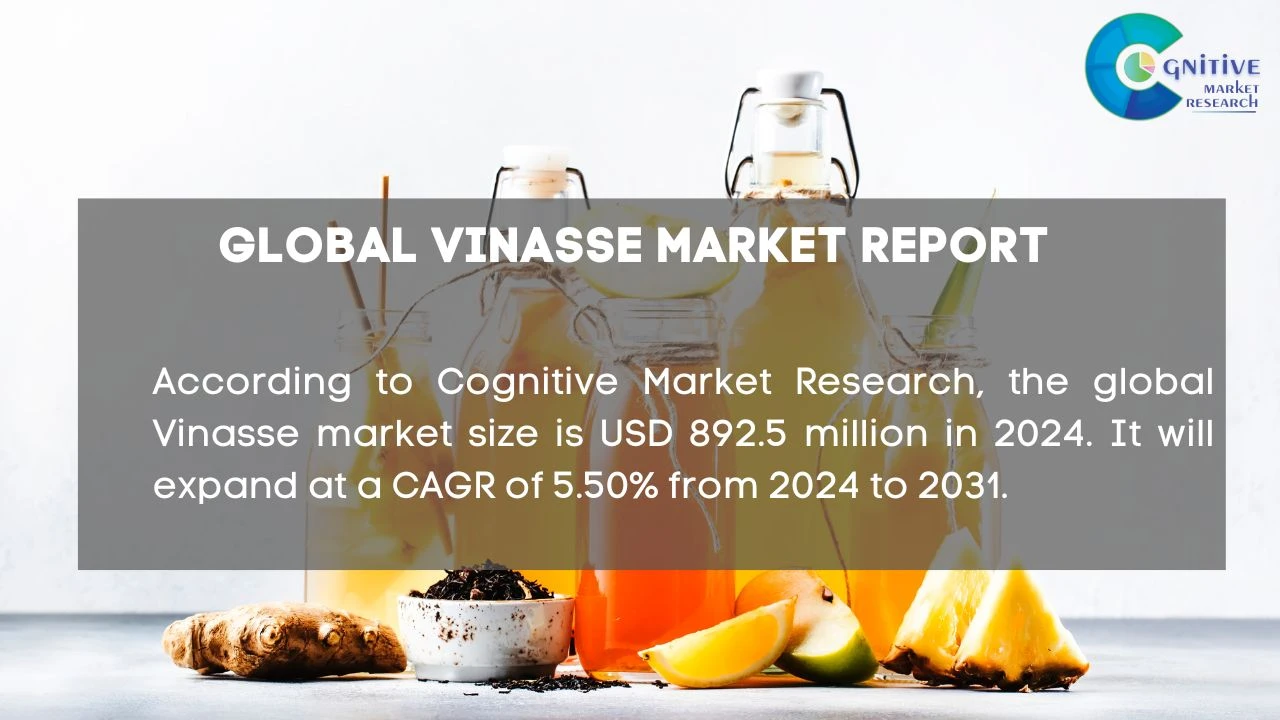 Vinasse Market Report