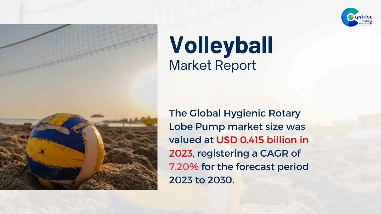 Volleyball Market Report