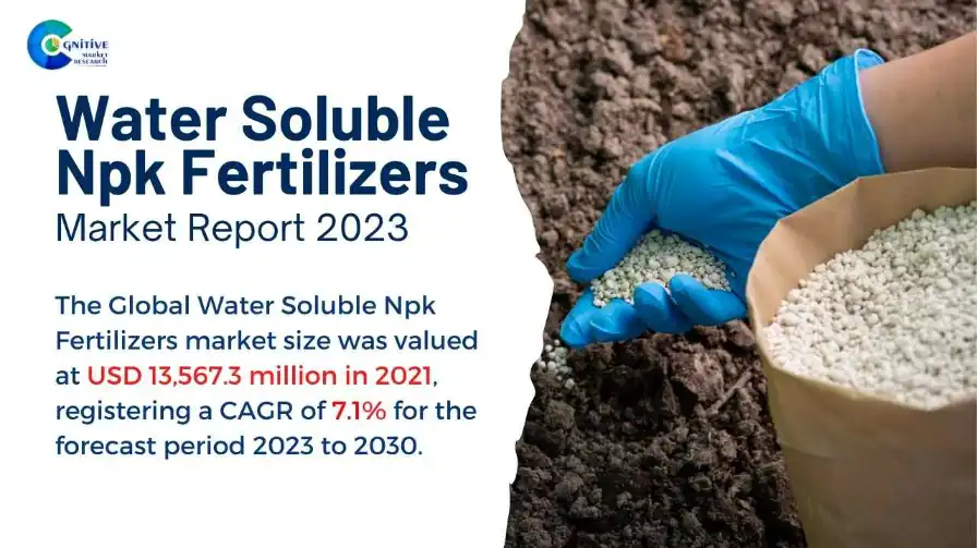 Water Soluble Npk Fertilizers Market Report