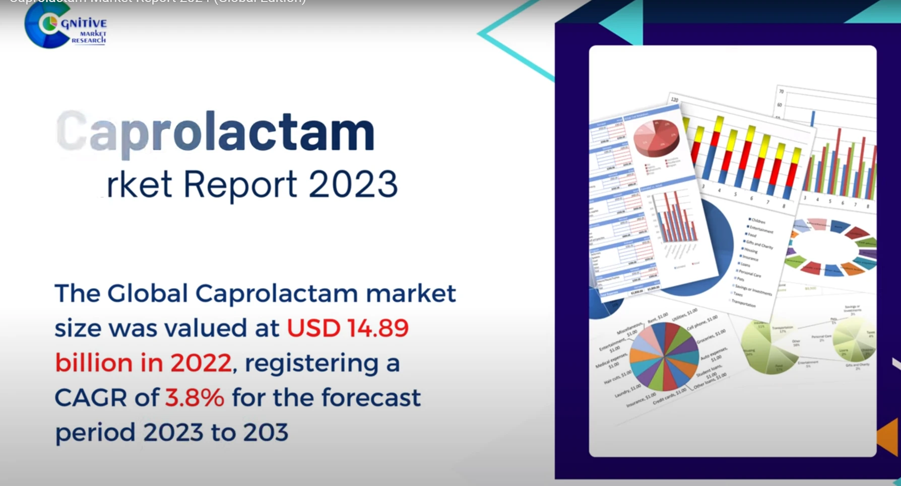 Caprolactam Market Report