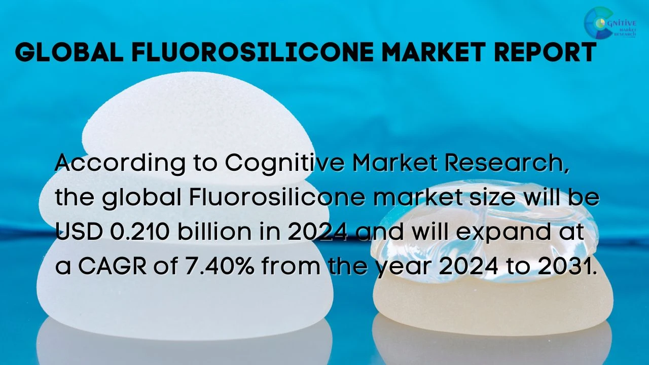 Fluorosilicone Market Report