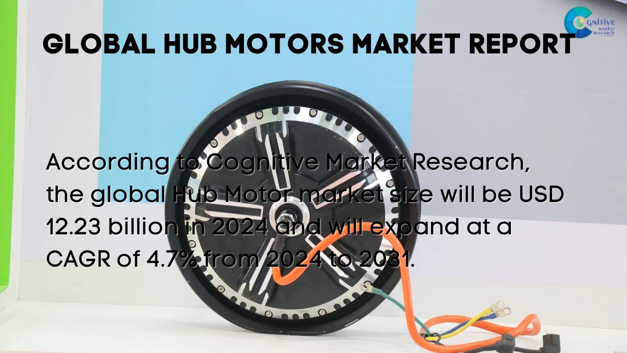 Hub Motors Market Report