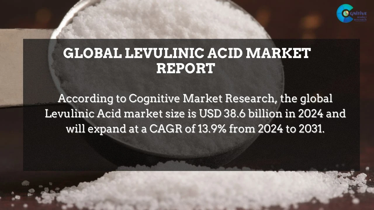 Levulinic Acid Market Report