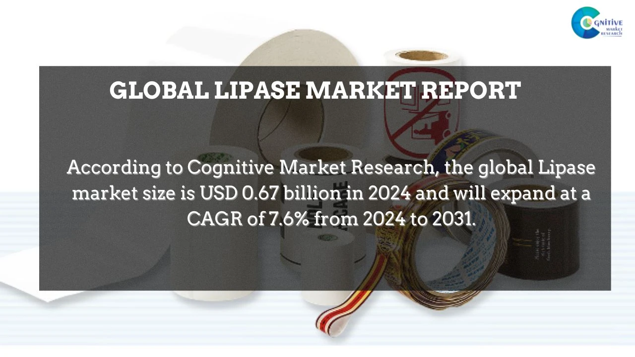 Lipase Market Report