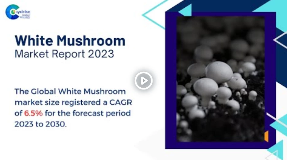 White Mushroom Market Report